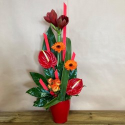 Composition contenant...